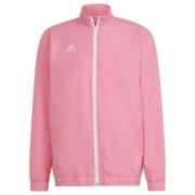 Adidas Heren entrada 22 presentatiejas