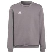 Adidas Kinderen/kinderen entrada 22 sweatshirt