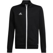 Adidas Kinder/kinder entrada 22 track jacket