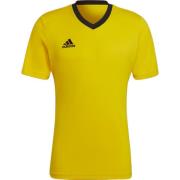 Adidas Kinderen/kinderen entrada 22 t-shirt