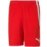 Puma Heren team liga korte broek