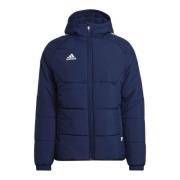 Adidas Heren condivo 22 gewatteerd jack