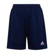 Adidas Kinderen/kinderen entrada 22 korte broek
