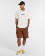 Dickies T-shirt korte mouw dk0a4z8pc481
