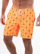 Falcon dray board short heren combi