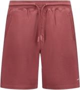 Airforce Basic short sienna purple