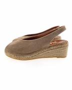 Viguera 2200 pumps