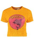 Harper & Yve Top korte mouw hst25y301 dolphin