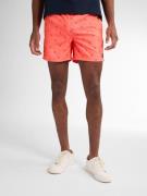 Petrol Industries Men swimshort