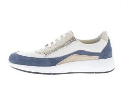 Solidus Halea f