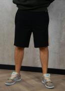 Lacoste Shorts colar block