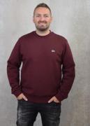Lacoste Sweatershirt