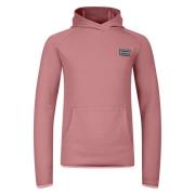 Dare2b Kinderen/kinderen traverse hoodie