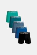 Muchachomalo 5-pack lcsolid1010-86