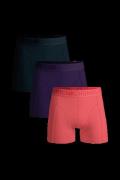 Muchachomalo 3-pack microfiber solid
