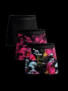 Muchachomalo 3-pack u-binary