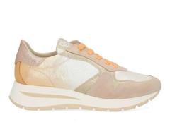 DL Sport 6562