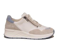 Solidus 59071