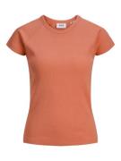 Jack & Jones Jxfriend str ss rib tee jrs noos