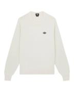 Dickies Sweatshirt dk0a87opc481