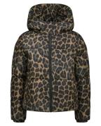 Vingino Jack aw25kg100005