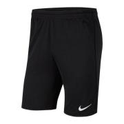 Nike Heren dri-fit park 20 trainingsshort