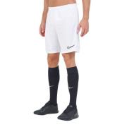 Nike Heren academy dri-fit korte broek