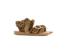 Shoesme Sandaal leopardo cs20s004-g